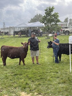 Agricultural educator works with student at a livestock show