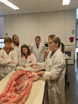 Agricultural educator teaches students in meat lab.