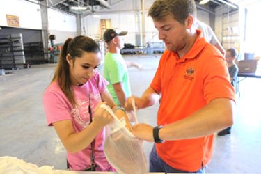 Agricultural educator works with student packing a ham